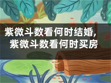 紫微斗数看何时结婚,紫微斗数看何时买房