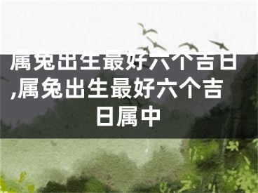 属兔出生最好六个吉日,属兔出生最好六个吉日属中