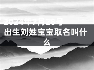 2024年7月28号出生刘姓宝宝取名叫什么