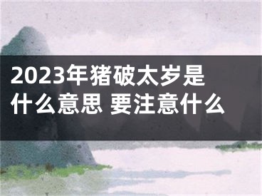 2023年猪破太岁是什么意思 要注意什么