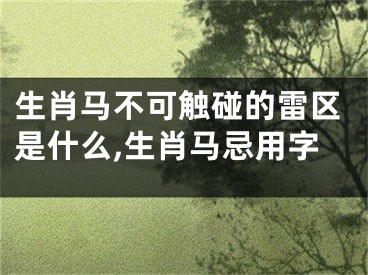生肖马不可触碰的雷区是什么,生肖马忌用字