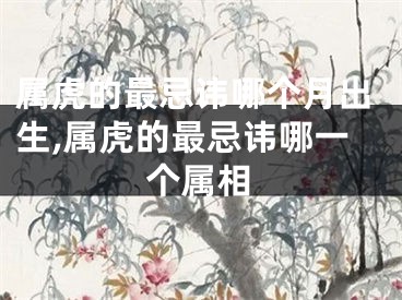 属虎的最忌讳哪个月出生,属虎的最忌讳哪一个属相