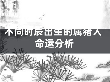 不同时辰出生的属猪人命运分析