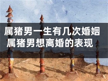 属猪男一生有几次婚姻 属猪男想离婚的表现