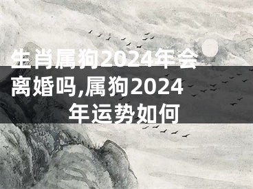 生肖属狗2024年会离婚吗,属狗2024年运势如何