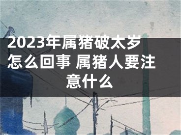 2023年属猪破太岁怎么回事 属猪人要注意什么