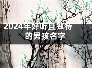 2024年好听且独特的男孩名字