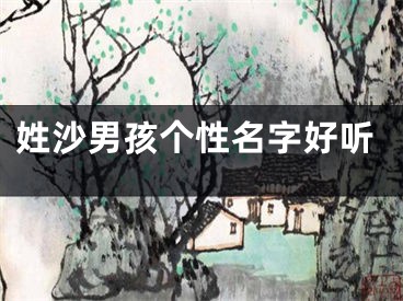 姓沙男孩个性名字好听