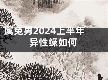 属兔男2024上半年异性缘如何