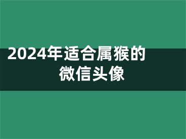 2024年适合属猴的微信头像