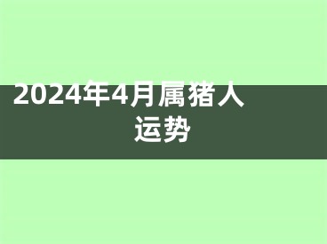 2024年4月属猪人运势