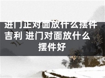 进门正对面放什么摆件吉利 进门对面放什么摆件好