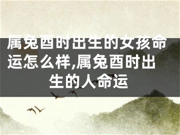 属兔酉时出生的女孩命运怎么样,属兔酉时出生的人命运