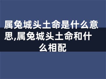属兔城头土命是什么意思,属兔城头土命和什么相配
