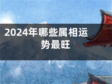 2024年哪些属相运势最旺
