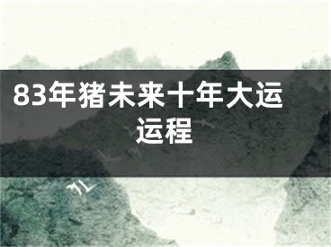 83年猪未来十年大运运程
