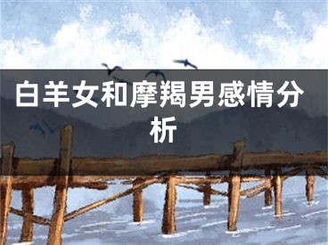 白羊女和摩羯男感情分析