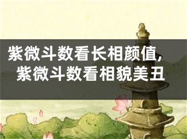 紫微斗数看长相颜值,紫微斗数看相貌美丑