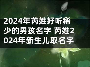 2024年芮姓好听稀少的男孩名字 芮姓2024年新生儿取名字