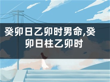 癸卯日乙卯时男命,癸卯日柱乙卯时