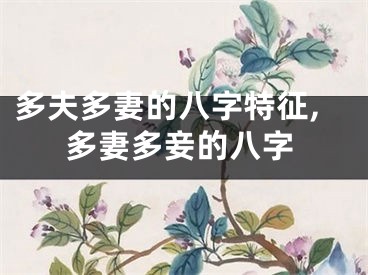 多夫多妻的八字特征,多妻多妾的八字