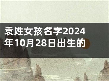 袁姓女孩名字2024年10月28日出生的