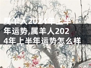 属羊人2024年上半年运势,属羊人2024年上半年运势怎么样