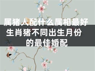 属猪人配什么属相最好 生肖猪不同出生月份的最佳婚配