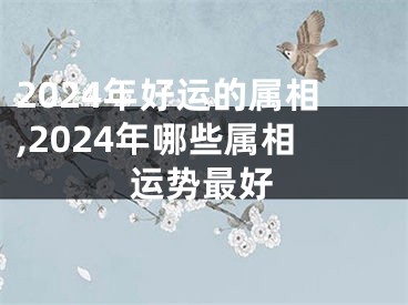 2024年好运的属相,2024年哪些属相运势最好
