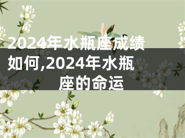 2024年水瓶座成绩如何,2024年水瓶座的命运