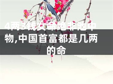 4两3钱女命绝非池中物,中国首富都是几两的命
