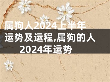 属狗人2024上半年运势及运程,属狗的人2024年运势