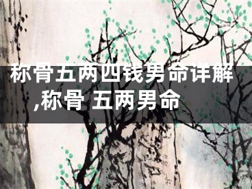 称骨五两四钱男命详解,称骨 五两男命