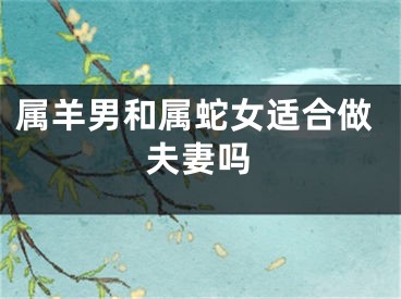 属羊男和属蛇女适合做夫妻吗