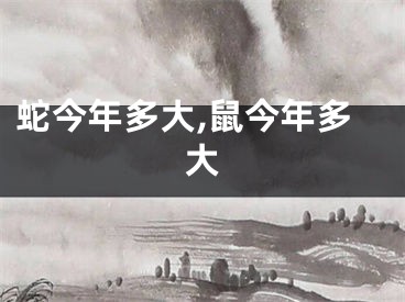 蛇今年多大,鼠今年多大