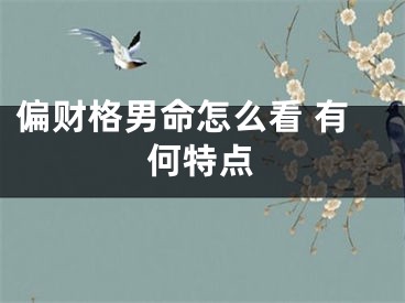 偏财格男命怎么看 有何特点