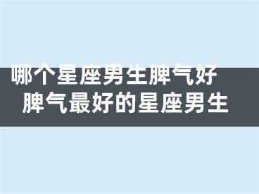 哪个星座男生脾气好 脾气最好的星座男生
