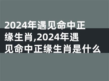 2024年遇见命中正缘生肖,2024年遇见命中正缘生肖是什么