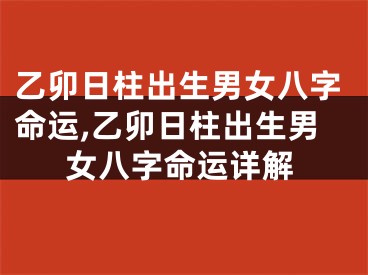 乙卯日柱出生男女八字命运,乙卯日柱出生男女八字命运详解
