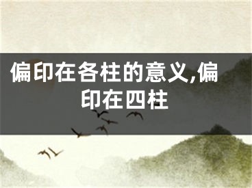 偏印在各柱的意义,偏印在四柱