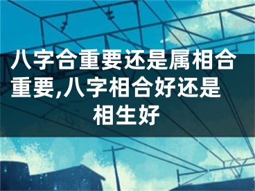 八字合重要还是属相合重要,八字相合好还是相生好