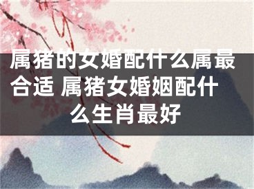 属猪的女婚配什么属最合适 属猪女婚姻配什么生肖最好
