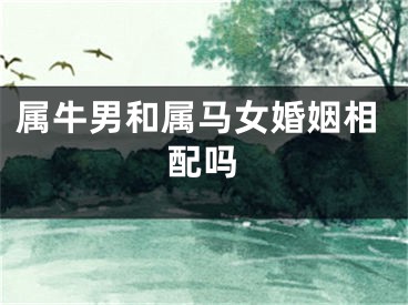 属牛男和属马女婚姻相配吗