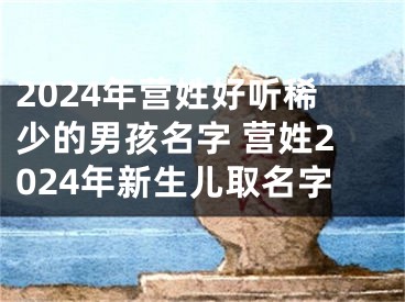 2024年营姓好听稀少的男孩名字 营姓2024年新生儿取名字