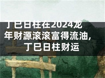 丁巳日柱在2024龙年财源滚滚富得流油,丁巳日柱财运