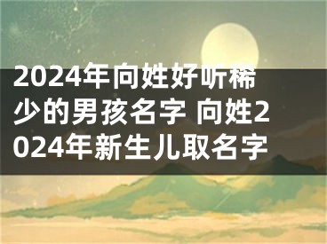 2024年向姓好听稀少的男孩名字 向姓2024年新生儿取名字