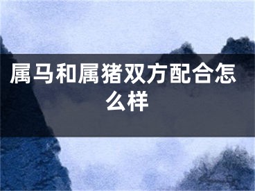 属马和属猪双方配合怎么样