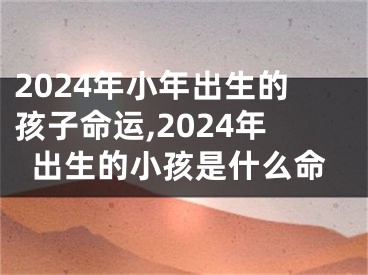 2024年小年出生的孩子命运,2024年出生的小孩是什么命