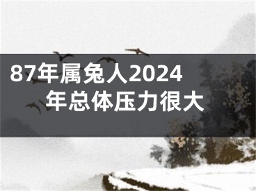 87年属兔人2024年总体压力很大