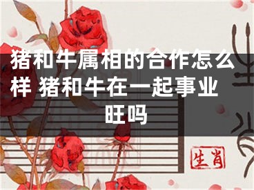 猪和牛属相的合作怎么样 猪和牛在一起事业旺吗